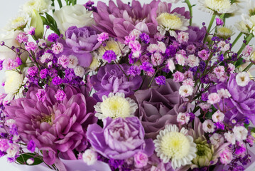composition of red purple flowers on white background, close-up, copy space, template, postcard