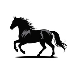 Wild horse galloping on dusty plain

