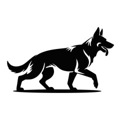 Loyal dog looking at camera

