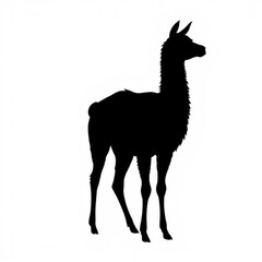 Llama illustration icon, black silhouette vector