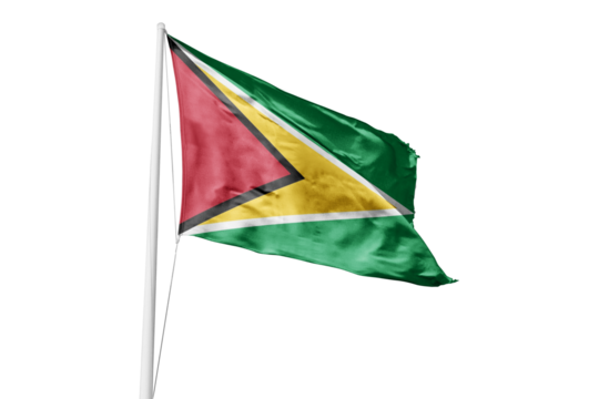 Flag of Guyana - Powered by Adobe