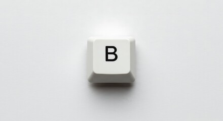 Isolated white keyboard key with letter B