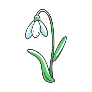 recommend clip art: snowdrop flower icon, snowdrop flower vector illustration-simple illustration of snowdrop flower, perfect for snowdrop flower logos and icons