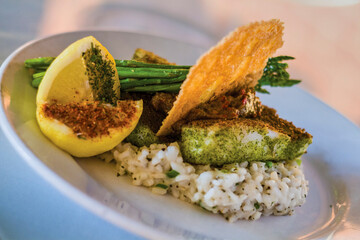 pan seared herb crusted fish on a bed of lemon risotto served with roasted asparagus