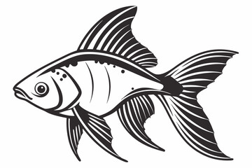 platy fish sihouette black vector