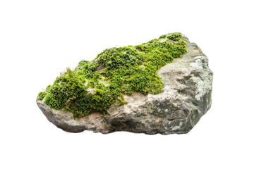 A detailed photograph presents a singular grey rock adorned with vibrant patches of green moss. Capturing the beauty of nature's miniature landscapes, evoking a sense of quiet harmony.