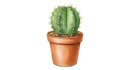 cactus in pot illustration isolated on white background