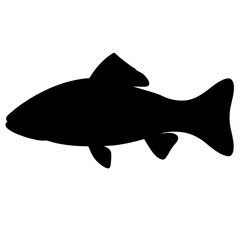 sablefish black cod vector silhouette icon - ideal for fishing logos, seafood icons, and aquatic-themed graphics.