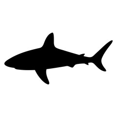 shark vector silhouette icon - ideal for fishing logos, seafood icons, and aquatic-themed graphics.