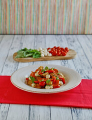 panzanella salad with toasted bread, fresh mozzarella, and grape and cherry tomatoes