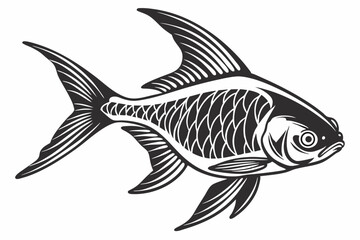 tetra fish sihouette black vector