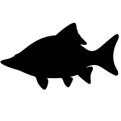 sturgeon vector silhouette icon - ideal for fishing logos, seafood icons, and aquatic-themed graphics.