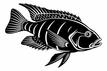 cichlid sihouette black vector