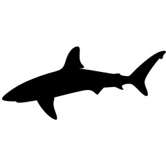 thresher shark vector silhouette icon - ideal for fishing logos, seafood icons, and aquatic-themed graphics.