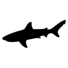 tiger shark vector silhouette icon - ideal for fishing logos, seafood icons, and aquatic-themed graphics.