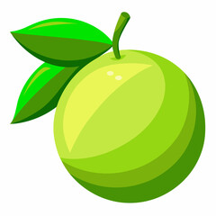 Vector illustration of a green lemon 