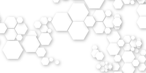 Geometric technology white hexagon background. Abstract vector illustration Science technology and medical concept hexagon on transparent background.