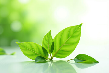 A mesmerizing close-up of fresh, vibrant green tea leaves suspended in crystal clear water.