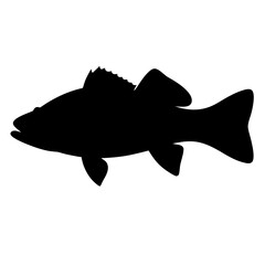 walleye vector silhouette icon - ideal for fishing logos, seafood icons, and aquatic-themed graphics.