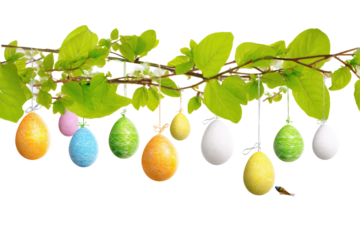 Easter Eggs Hanging From Branch With Green isolated on a transparent background
