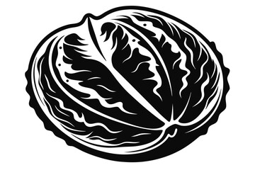 Stylized Black and White Illustration of Cabbage Head with Leaf Details Displayed