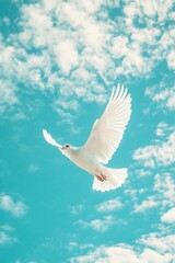 Fototapeta premium White Dove in Flight, Blue Sky