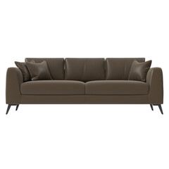 leather sofa front view isolated.