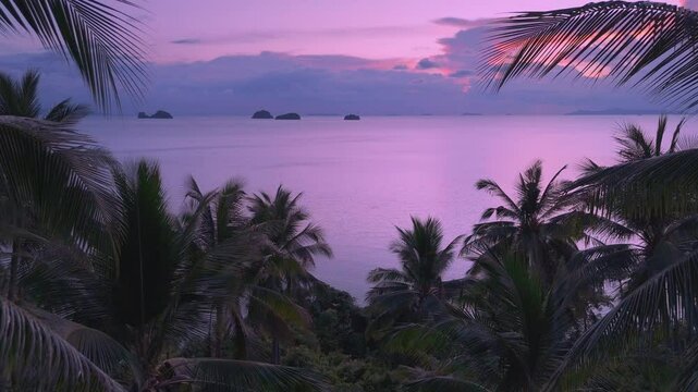 Pink sunset over tropical ocean with palm trees and calm waves reflecting colorful sky, fantasy-like landscape. Concept of romantic dream paradise. Cinematic aerial shot of flying through palm trees