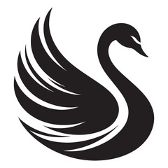 Obraz premium Black swan vector illustration