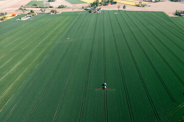 Aerial View of Lush Green Agricultural Field