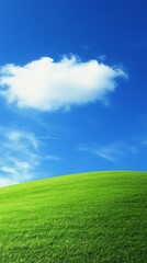 Fototapeta premium Bright green hill under a vibrant blue sky filled with fluffy white clouds on a sunny clear day with gentle rolling landscape.
