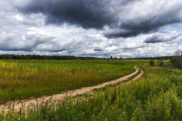 Winding dirt road passes through a field of corn stalks, leading into the forest. The sky above is a stunning sight of dark, swirling clouds