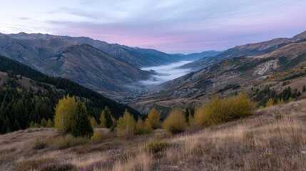 Obraz premium Golden trees emerge from the valleys as the sun rises, casting warm light over autumn mountains and into the morning haze that blankets the landscape