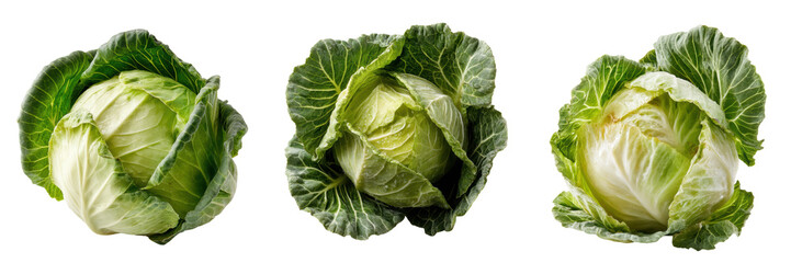 Fototapeta premium Fresh cabbage heads isolated on transparent background