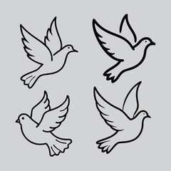 Printable Pigeon Illustration