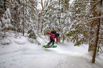 Snowboarder Carving Through Fresh Powder Snow