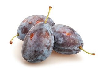 prune plum path isolated on white