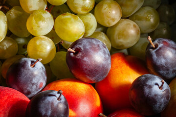 plum fruit mix on black background
