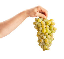 white grape in hand path isolated on white