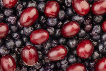 blackberry dogwood berry mix pattern background top view