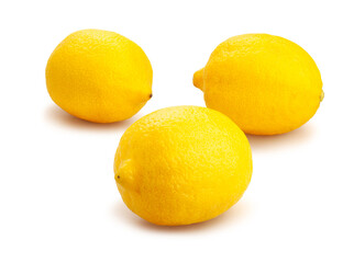 lemon path isolated on white