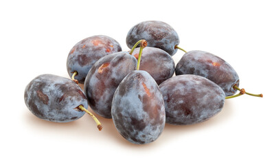 prune plum path isolated on white