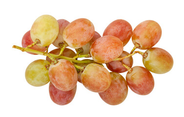red grape path isolated on white
