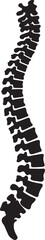 Spinal cord vector icon