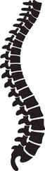 Spinal cord vector icon