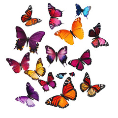 Assorted colorful butterflies flying on transparent background