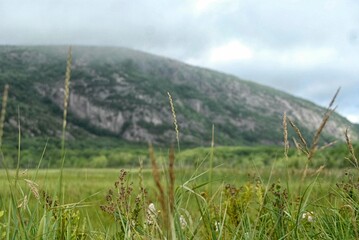New Hampshire Mountains Framed by Tall Grass in the Foreground