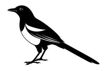 Obraz premium Magpie Silhouette vector