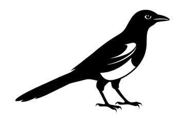 Obraz premium Magpie Silhouette vector