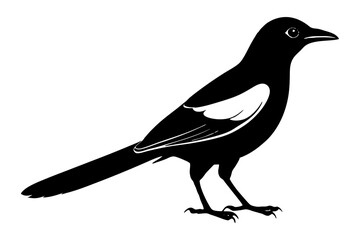 Obraz premium Magpie Silhouette vector